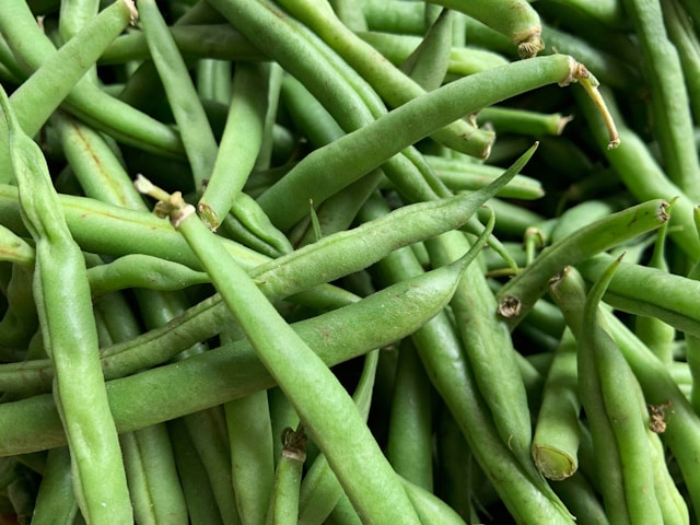 Les légumes de saison sont plus frais, savoureux et respectueux de l’environnement
