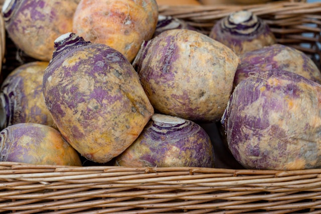 rutabaga